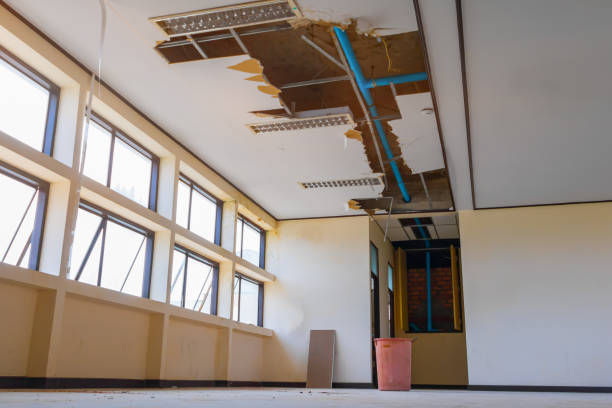 Best Water damage contractors near me  in Scott, LA