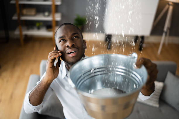 Best Carpet water damage restoration  in Scott, LA