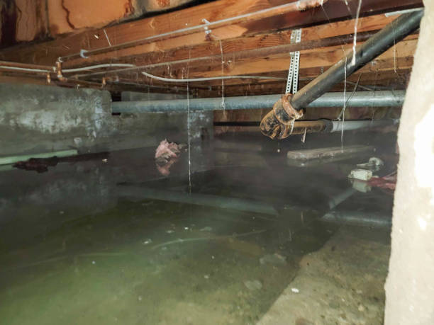 Best Flood damage cleanup  in Scott, LA