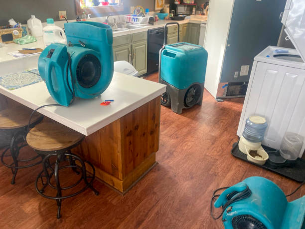 Best Emergency water damage restoration  in Scott, LA
