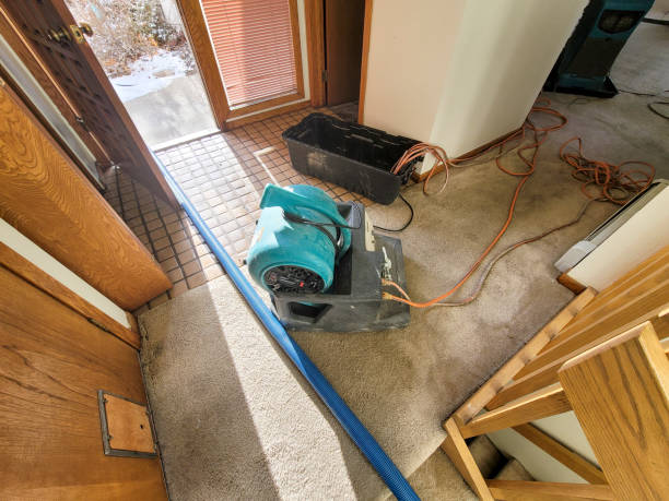 Best Fire Damage Restoration  in Scott, LA