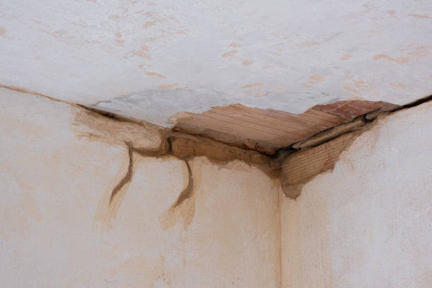 Best Carpet water damage restoration  in Scott, LA