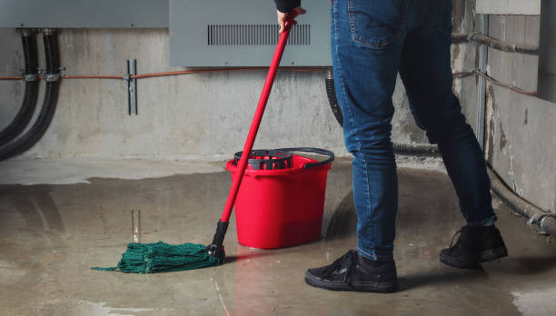 Best Water damage restoration services  in Scott, LA