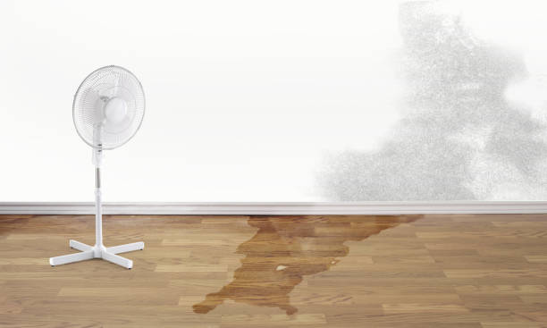 Best Emergency water damage restoration  in Scott, LA