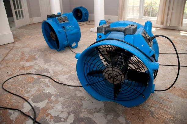 Best Flooded house restoration  in Scott, LA