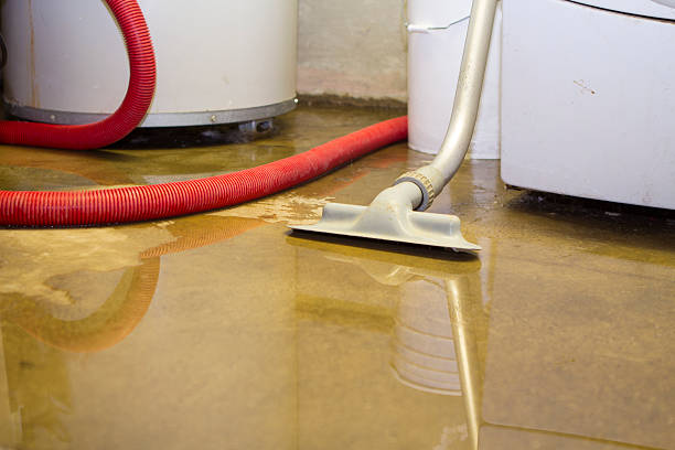 Carpet water damage restoration in LA