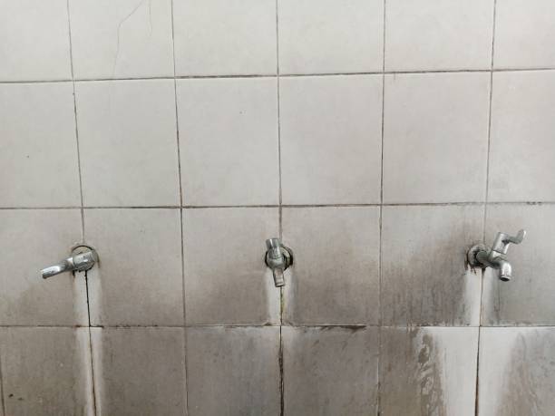Best Water damage restoration near me  in Scott, LA