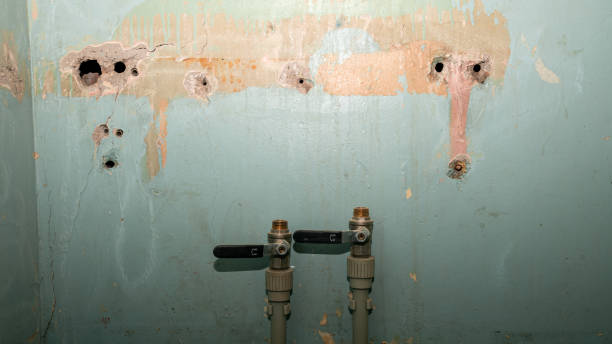 Best Carpet water damage restoration  in Scott, LA