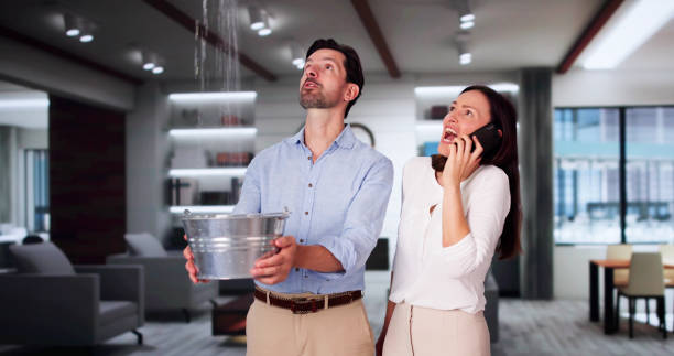 Best Basement water damage restoration  in Scott, LA