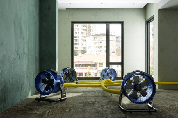 Best Mold removal after water damage  in Scott, LA
